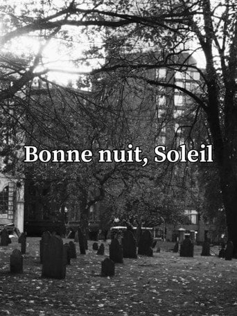 Movie poster for Goodnight, Soleil (2025)