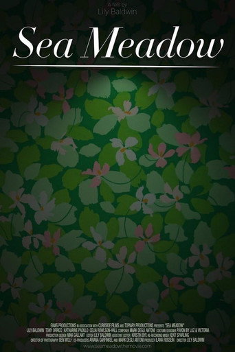 Movie poster for Sea Meadow (2011)