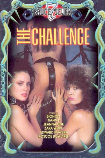 Movie poster for The Challenge (1990)