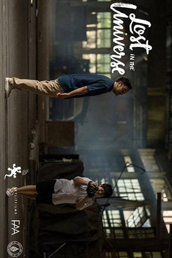 Lost in the Universe poster