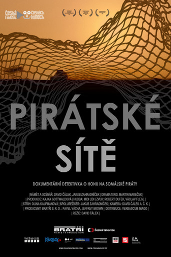 Movie poster for Pirating Pirates (2014)
