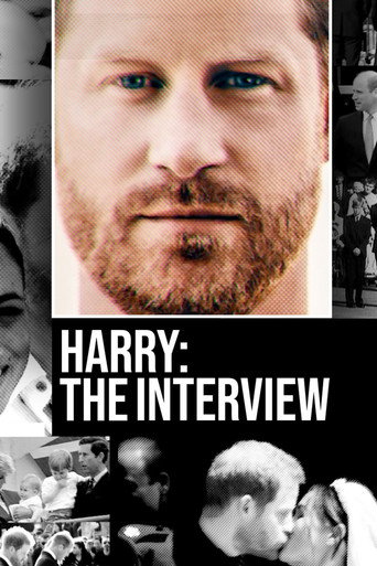 Movie poster for Harry: The Interview (2023)