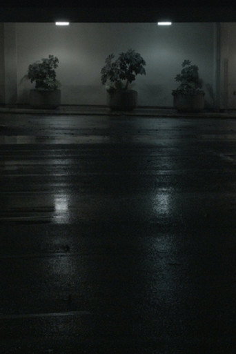 Movie poster for Night Swells (2015)