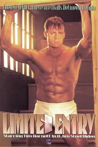 Movie poster for Limited Entry (1995)