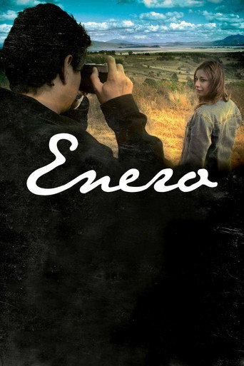 Movie poster for January (2013)