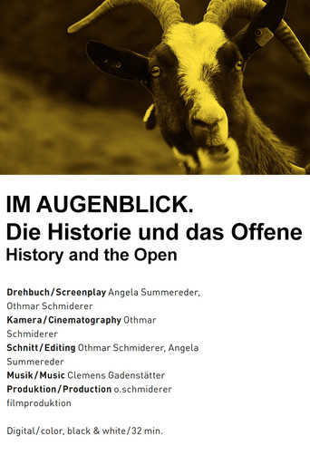 Movie poster for Im Augenblick. Die Historie und das Offene (2013)