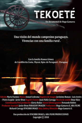 Movie poster for The Way of Being (2010)