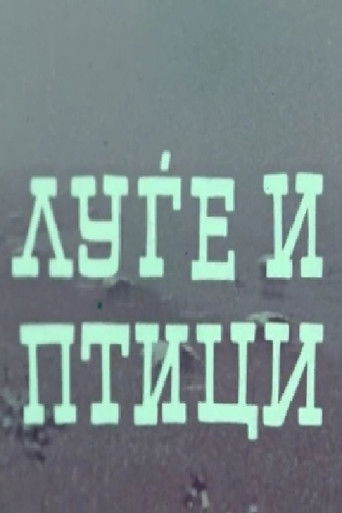 People and Birds poster