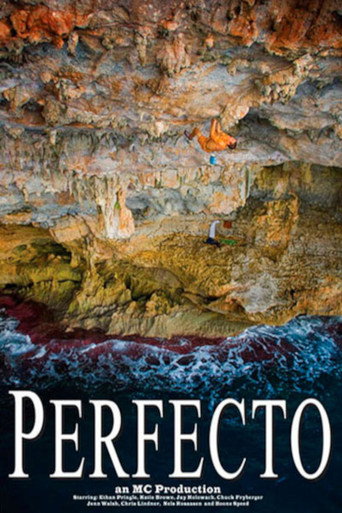 Movie poster for Perfecto (2008)