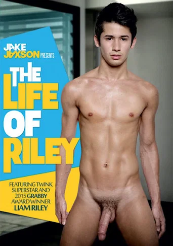 Movie poster for The Life of Riley (2015)