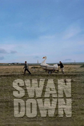 Movie poster for Swandown (2012)