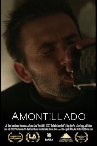 Movie poster for Amontillado (2017)