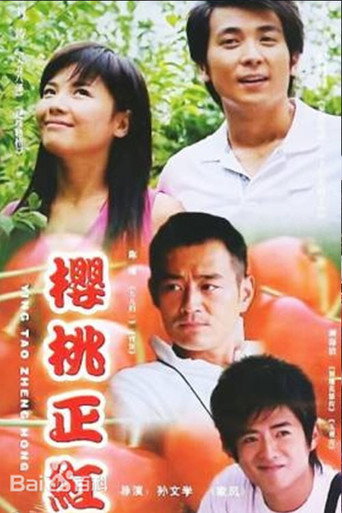 樱桃正红 poster