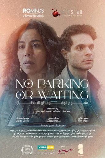 No Parking or Waiting poster