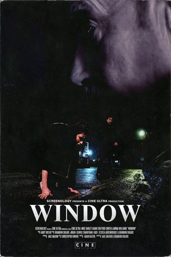 Movie poster for Window (2019)