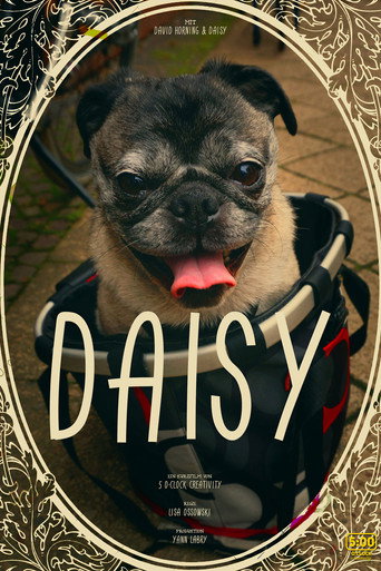 Movie poster for Daisy (2016)