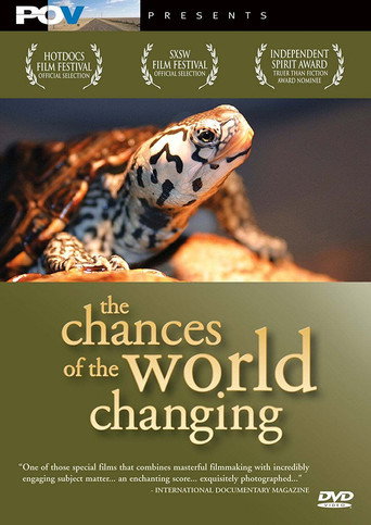Movie poster for The Chances of the World Changing (2006)