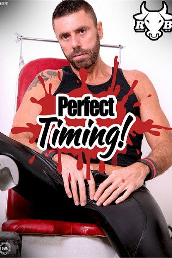Movie poster for Perfect Timing (2020)