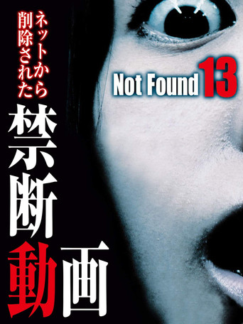 Not Found 13 poster