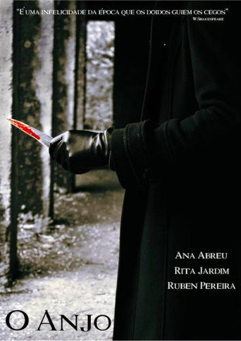 Movie poster for The Angel (2013)