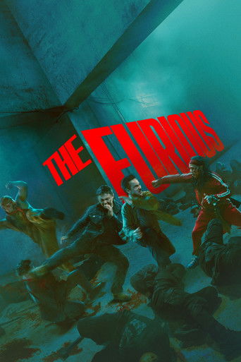 The Furious poster