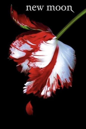 New Moon: The Journey Continues poster