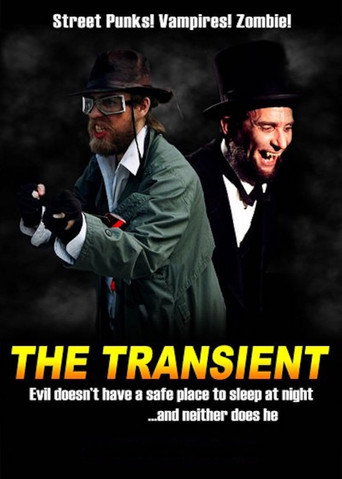 Movie poster for The Transient