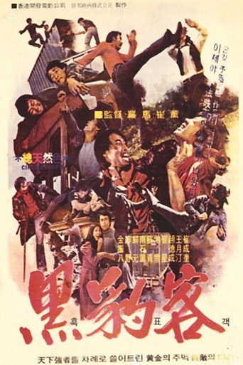 Movie poster for Black Guide (1974)
