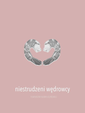 Movie poster for Niestrudzeni wędrowcy (2016)
