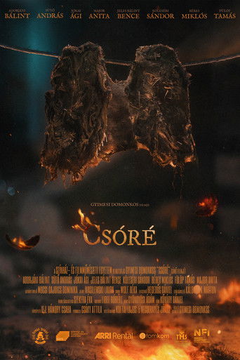 Csóré poster