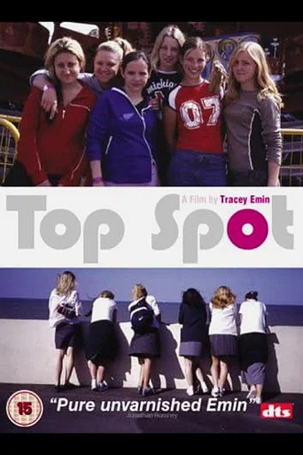Movie poster for Top Spot (2004)