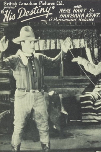 Movie poster for His Destiny (1928)