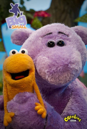 Big and Small poster