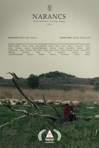 Movie poster for Orange (2023)