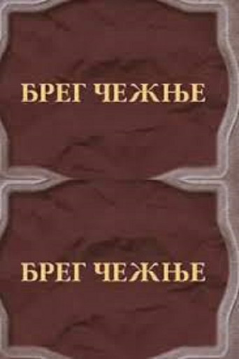 The Shore of Longing poster