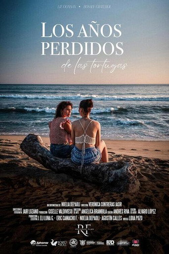 The Lost Years of the Turtles poster