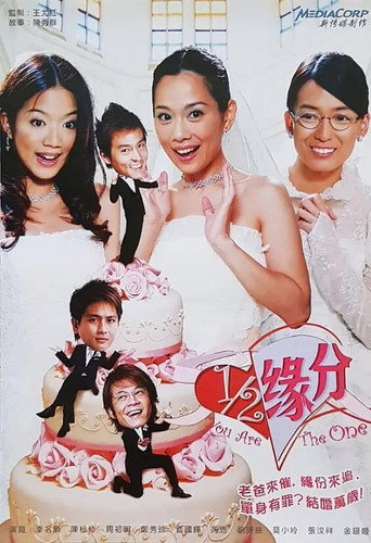 二分之一缘分 poster