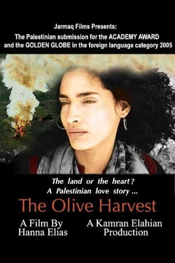 Movie poster for The Olive Harvest (2003)