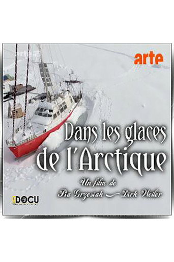Movie poster for Dans les Glaces de l’Arctique (2017)