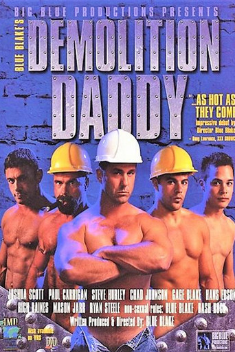 Movie poster for Demolition Daddy (2000)