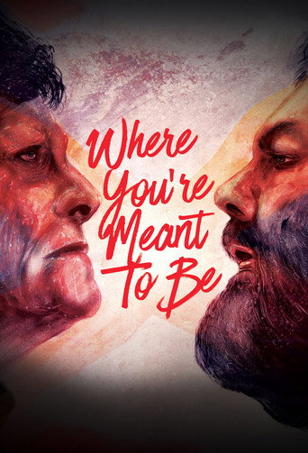 Movie poster for Where You're Meant to Be (2016)