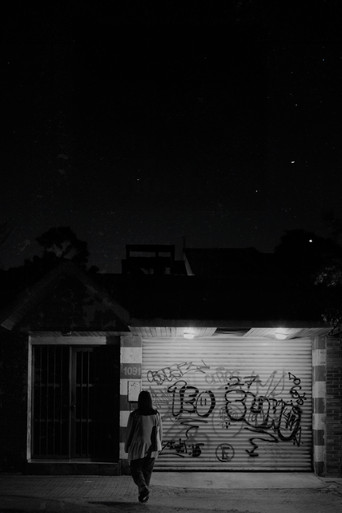 Movie poster for Birds sing at night (2024)