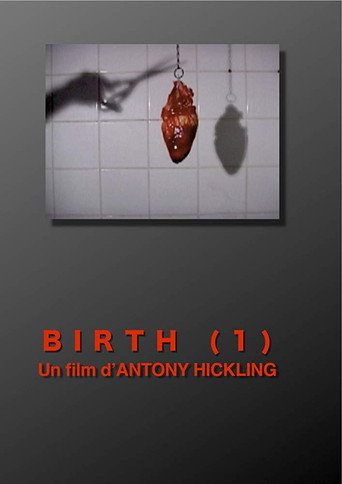 Movie poster for Birth 1 (2010)