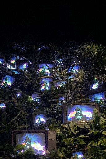 Movie poster for TV Garden (1974)