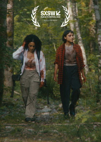 A Safe Distance poster