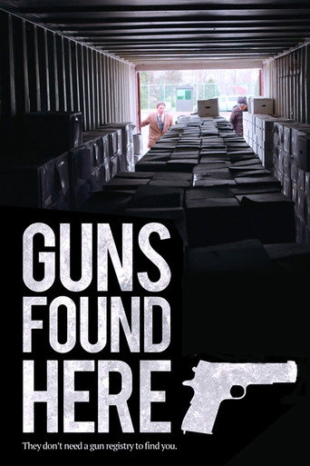 Movie poster for Guns Found Here (2018)