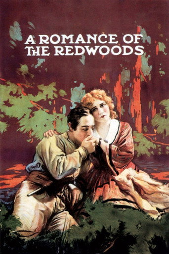 Movie poster for A Romance of the Redwoods (1917)