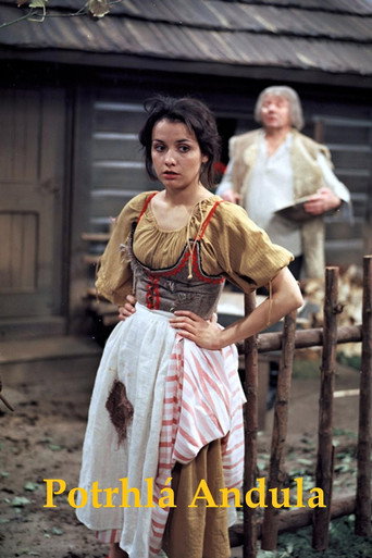 Potrhlá Andula poster