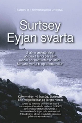 Movie poster for Surtsey - The Black Island (2003)
