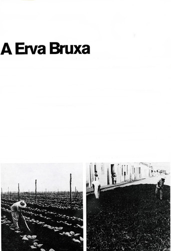 Movie poster for A Erva Bruxa (1970)